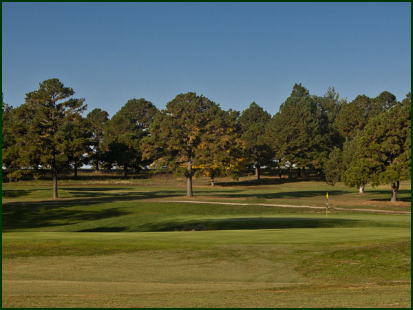 The Number 6 Green at Spring Creek Golf Club