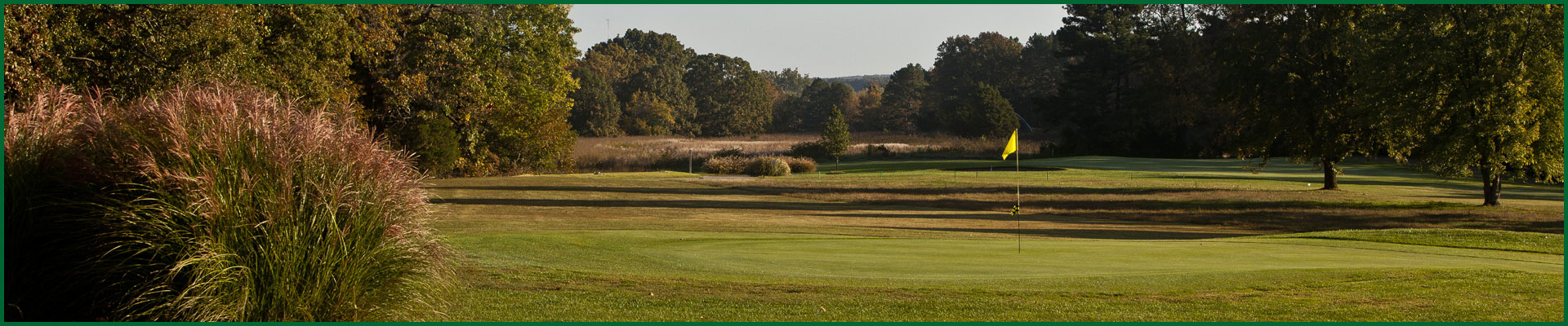 scgc_hdr5 Photo of number 5 green