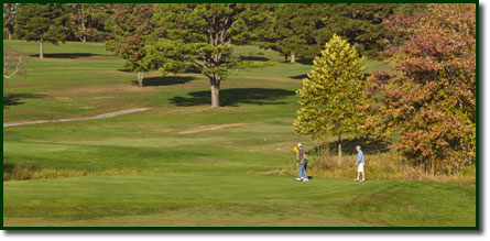 Photo of #3 green