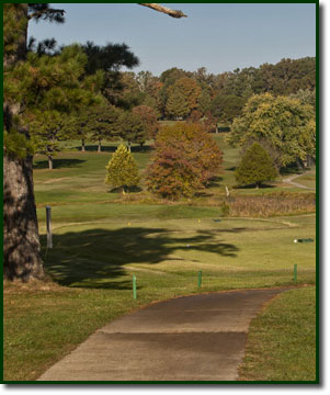 Photo of hole #3 at Spring Creek Golf Club