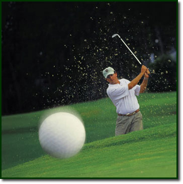 creek golf spring club rates weekdays